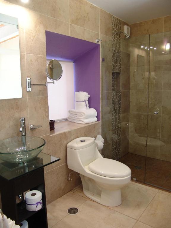 提欧精品酒店 圣米格尔－德阿连德 客房 照片 Bathroom